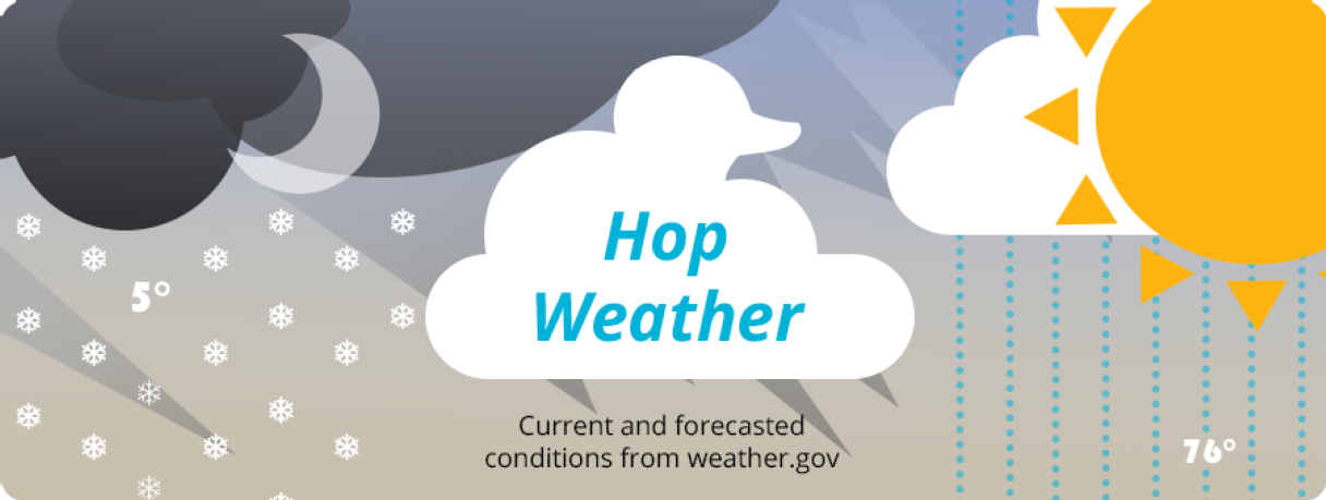 Graphic illustration of rain, snow, sun, moon, and clouds