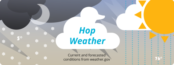 Graphic illustration of rain, snow, sun, moon, and clouds