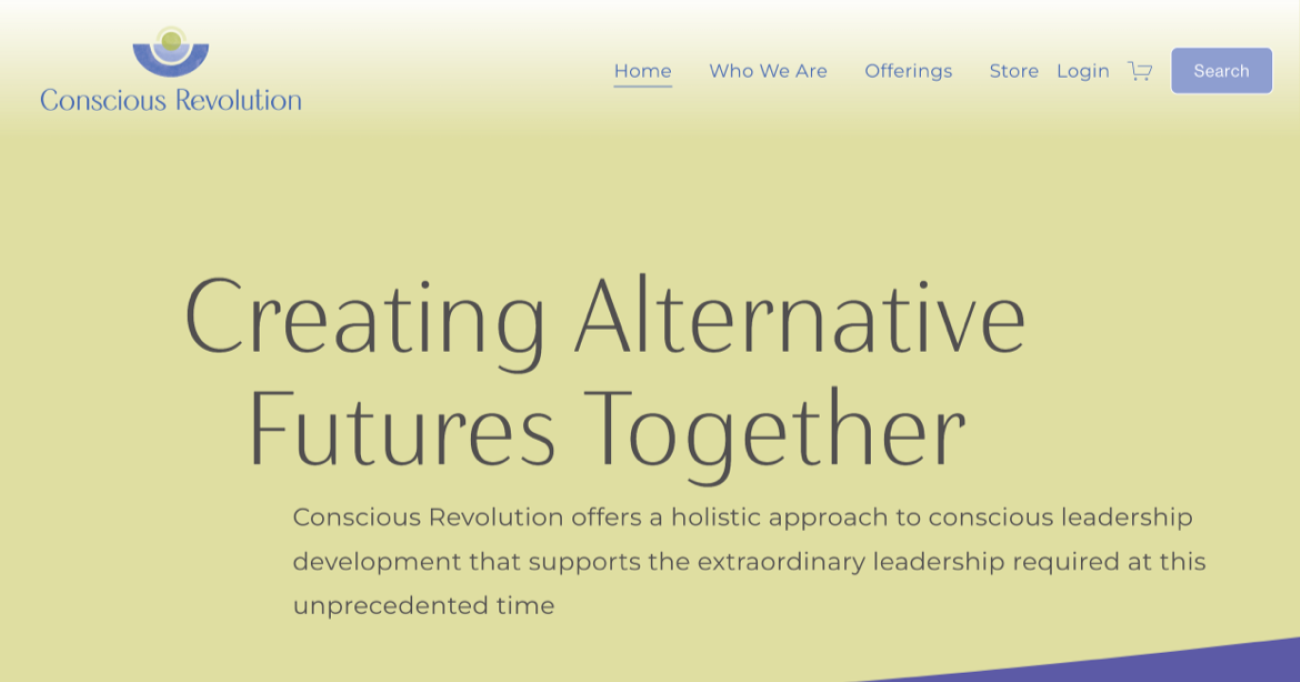 Conscious Revolution