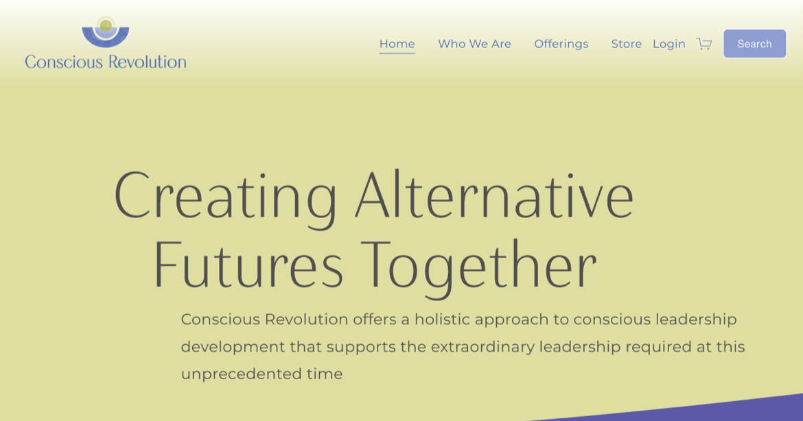 Conscious Revolution