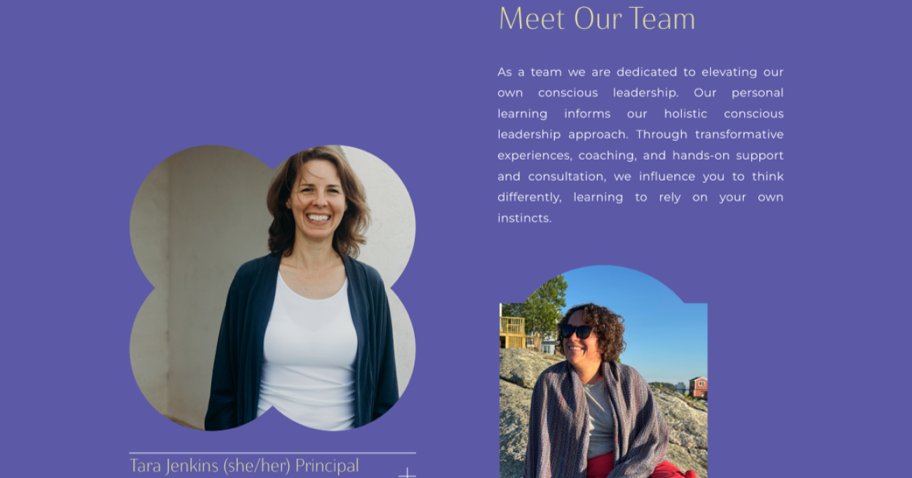 Conscious Revolution