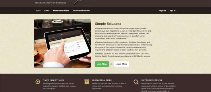Screenshot of eStandardSolution website homepage