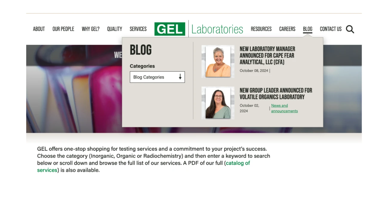 The GEL Group