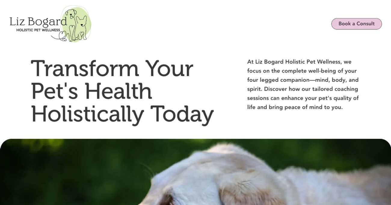 Liz Bogard - Holistic Pet Wellness