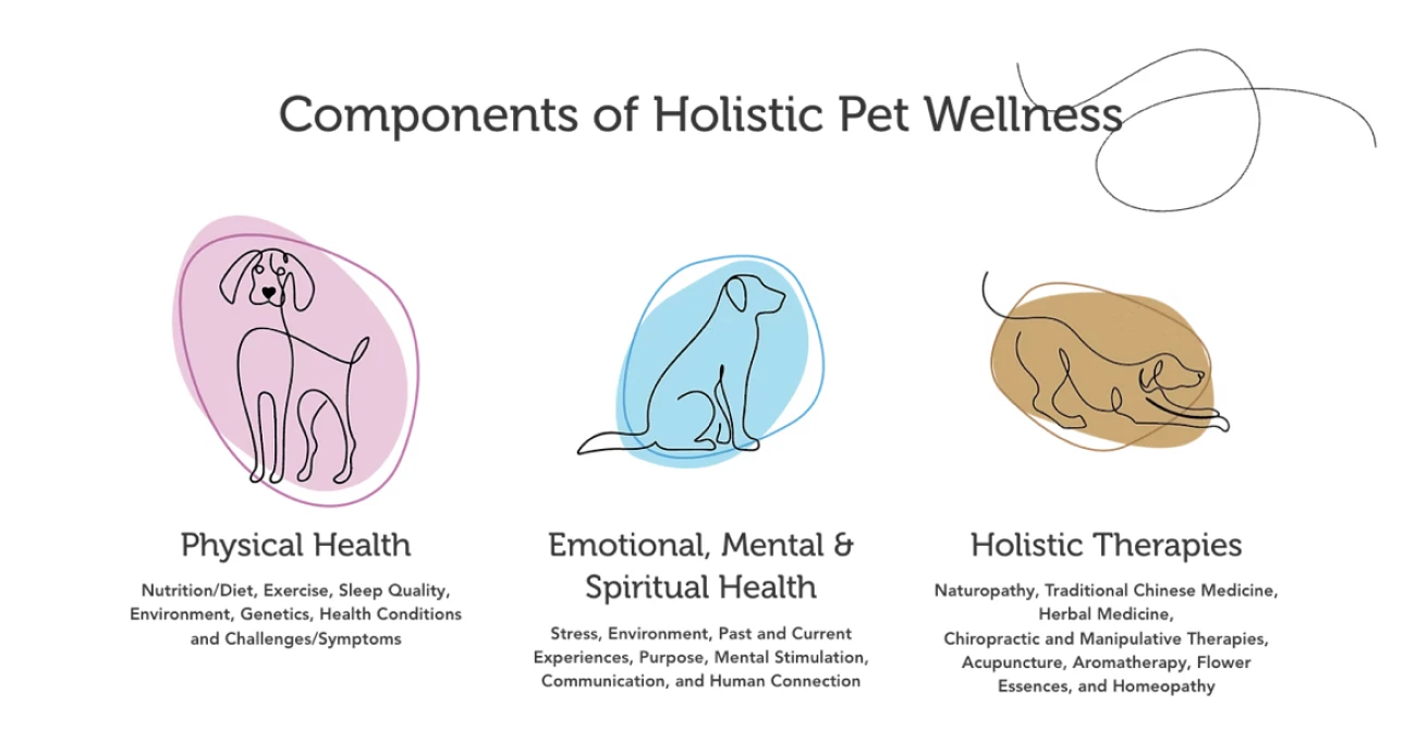 Liz Bogard - Holistic Pet Wellness