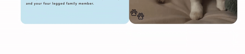 Liz Bogard - Holistic Pet Wellness