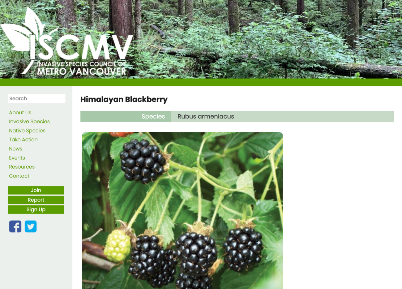 Invasive Species Council of Metro Vancouver (ISCMV)