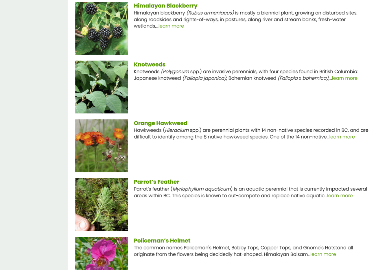 Invasive Species Council of Metro Vancouver (ISCMV)