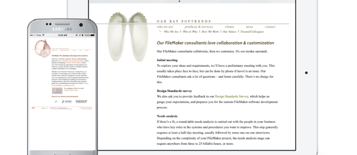 Screenshot of Oak Bay Softrends website on tablet and mobile