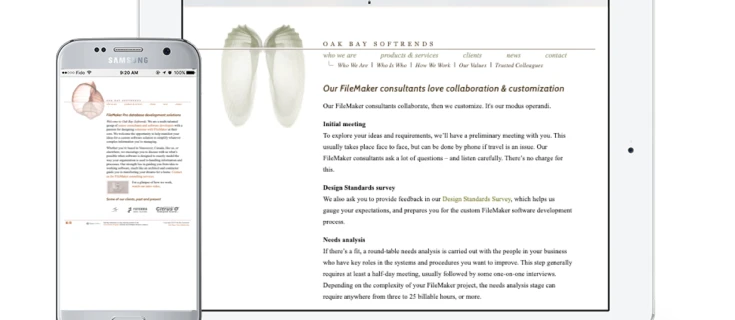 Screenshot of Oak Bay Softrends website on tablet and mobile