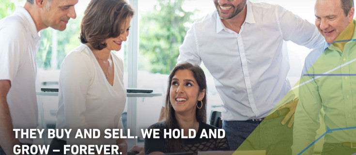 Screenshot of Volaris group