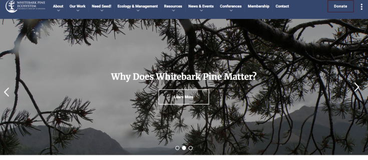 Screenshot of WPEFC website homepage