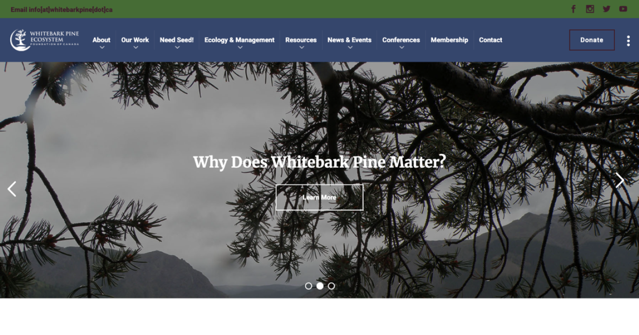 Whitebark Pine Ecosystem Foundation of Canada (WPEFC)