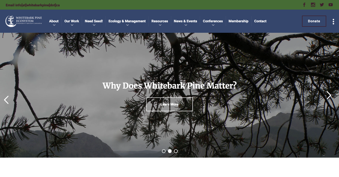 Whitebark Pine Ecosystem Foundation of Canada (WPEFC)