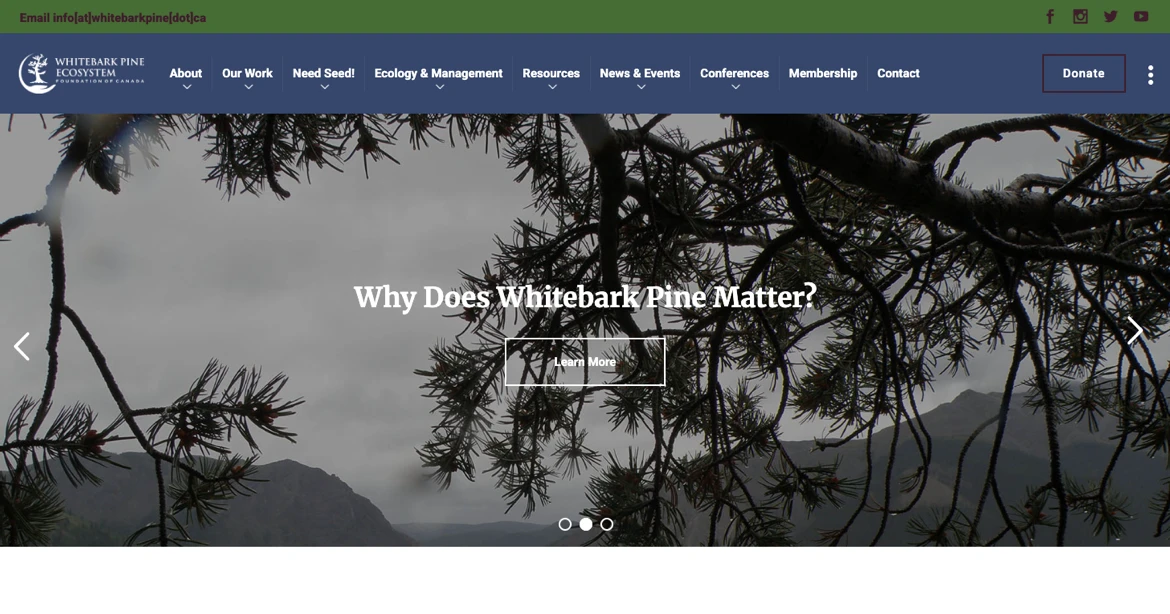 Whitebark Pine Ecosystem Foundation of Canada (WPEFC)