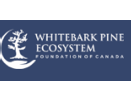 Whitebark Pine Ecosystem Foundation of Canada (WPEFC)