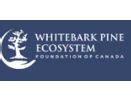 Whitebark Pine Ecosystem Foundation of Canada (WPEFC)