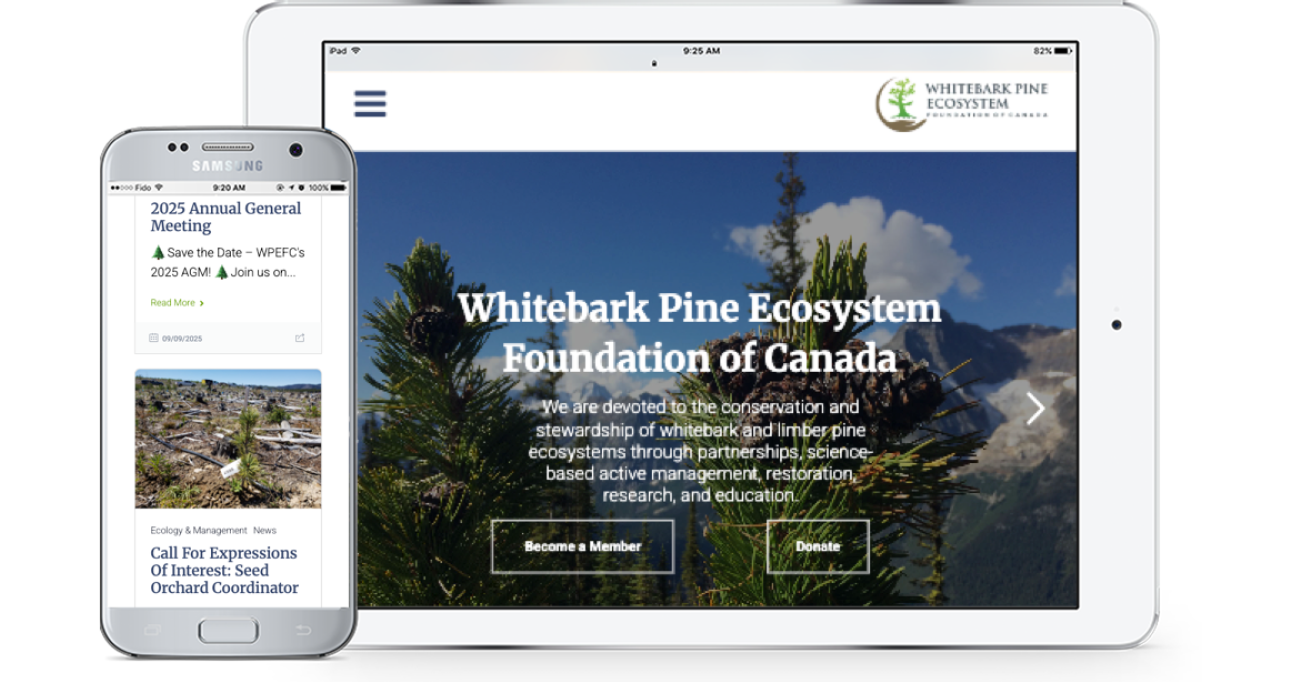Whitebark Pine Ecosystem Foundation of Canada (WPEFC)